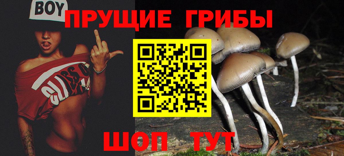 Галлюциногенные грибы ЛСД Чита